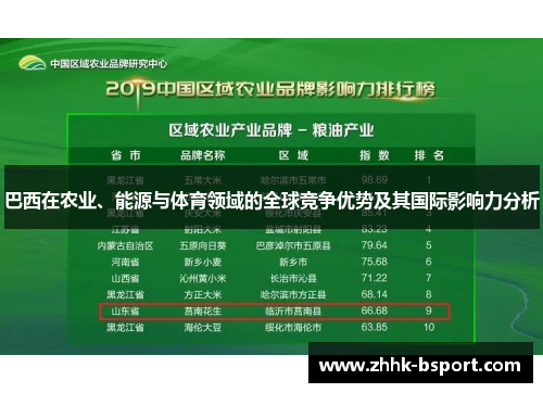 巴西在农业、能源与体育领域的全球竞争优势及其国际影响力分析